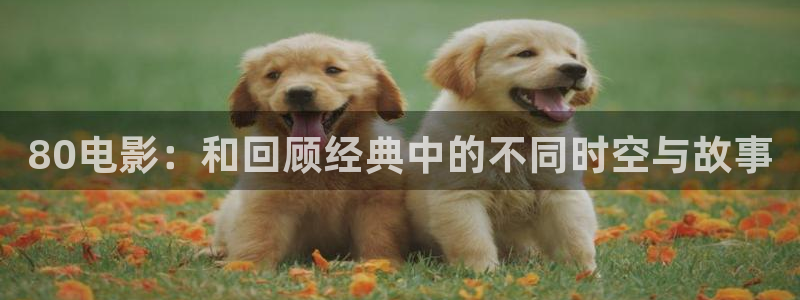神马影院妻子的朋友：80电影：和回顾经典中的不同时空与故事