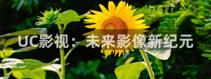 神马影院神马网：UC影视：未来影像新纪元