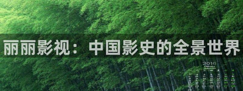 神马电影午夜限制：丽丽影视：中国影史的全景世界