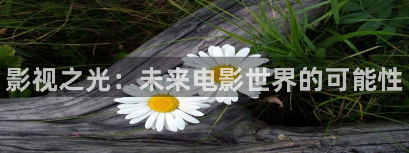 神马影院理论频道在线观看：影视之光：未来电影世界的可能性