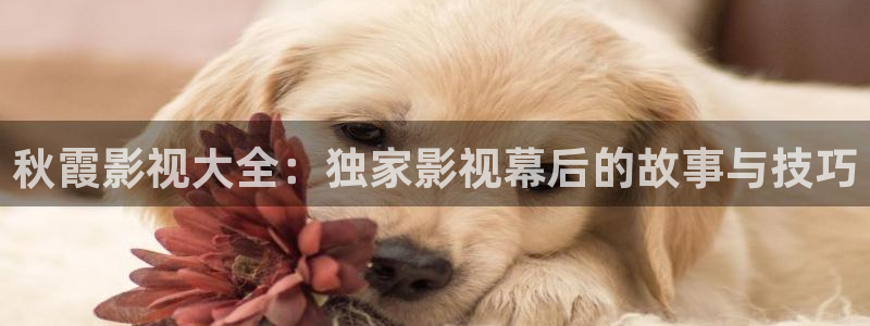 午夜影院神马电影：秋霞影视大全：独家影视幕后的故事与技巧